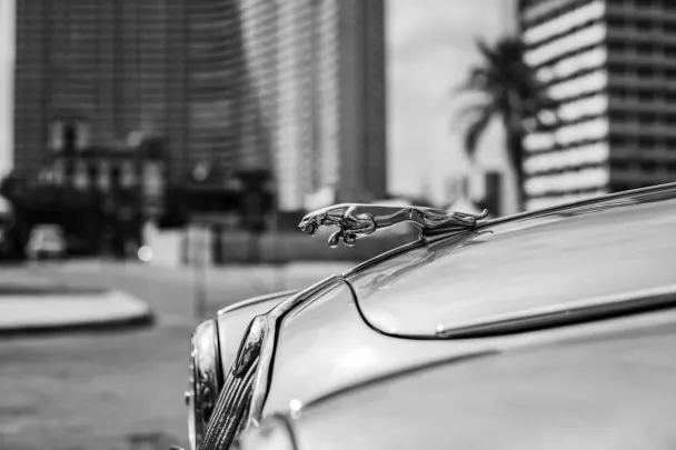 Kazino Golden Reels Android/iOS programa